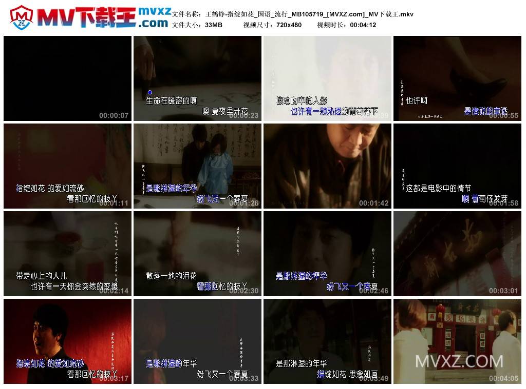 王鹤铮-指绽如花_国语_流行_MB105719